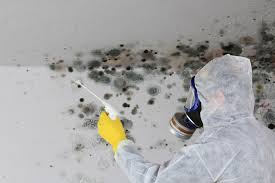 Best Residential Mold Inspection & Testing  in Dimmitt, TX